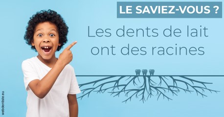 https://dr-jacques-sebastien.chirurgiens-dentistes.fr/Les dents de lait 2