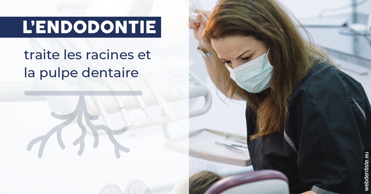 https://dr-jacques-sebastien.chirurgiens-dentistes.fr/L'endodontie 1
