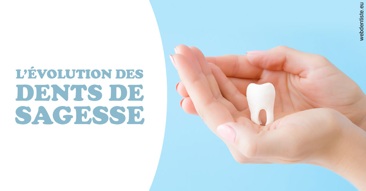 https://dr-jacques-sebastien.chirurgiens-dentistes.fr/Evolution dents de sagesse 1