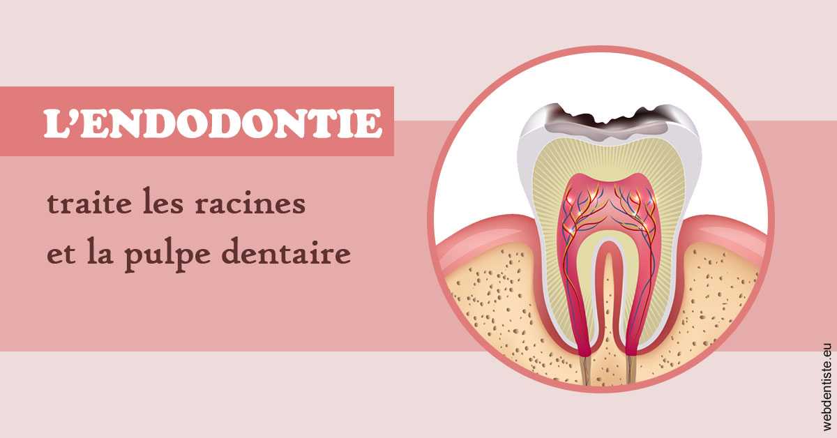 https://dr-jacques-sebastien.chirurgiens-dentistes.fr/L'endodontie 2