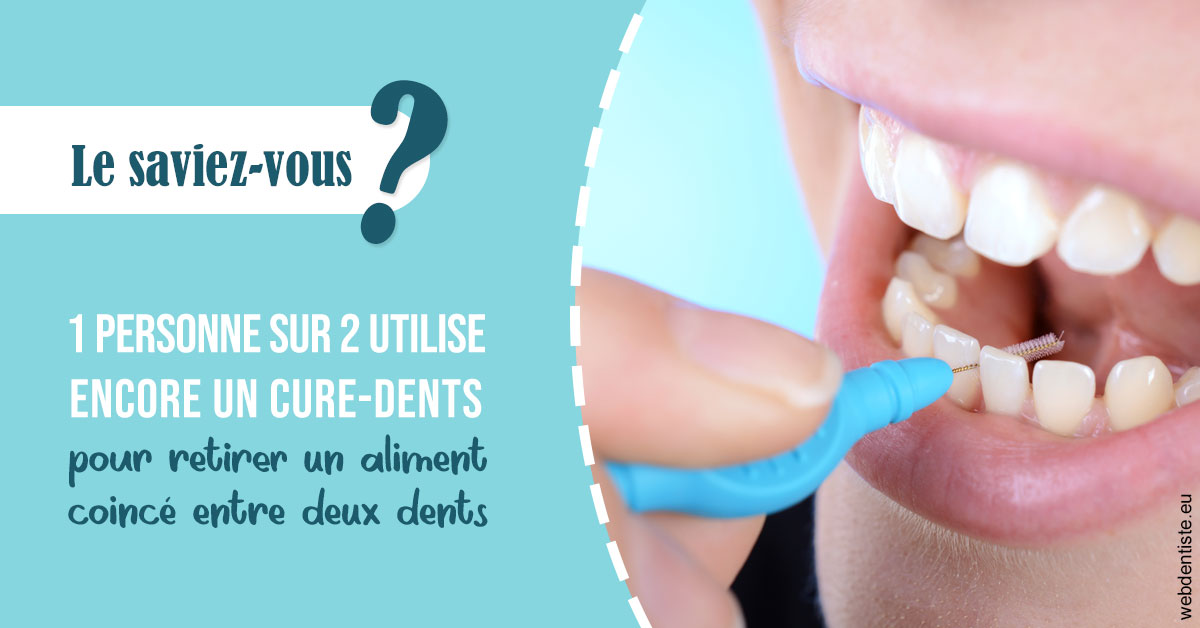 https://dr-jacques-sebastien.chirurgiens-dentistes.fr/Cure-dents 1